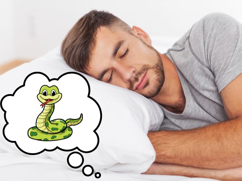 Giấc mơ thấy rắn không phải là điều hiếm gặp và thường gắn liền với nhiều tầng ý nghĩa sâu sắc